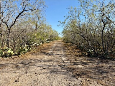 0 County Road 215, McCoy, TX 78113 - photo 5