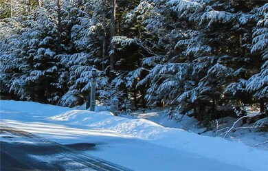 46 Chickadee Ln, Durham, ME 04222 - photo 2