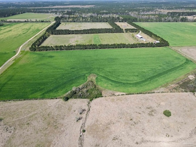 5872 S State Hwy 99, McDavid, FL 32568 - photo 6