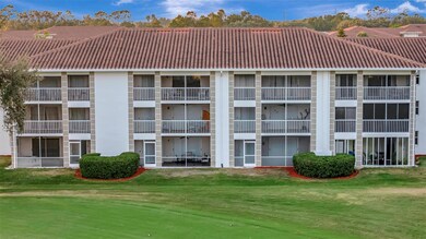 6507 Stone River Rd unit 105, Bradenton, FL 34203 - photo 6