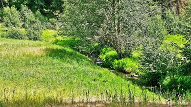 81 Williams Creek Rd, Cle Elum, WA 98922 - photo 6