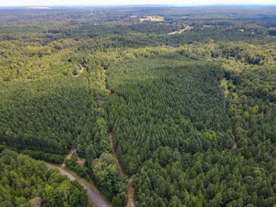 00 Starnes Rd, Enoree, SC 29335 - photo 5