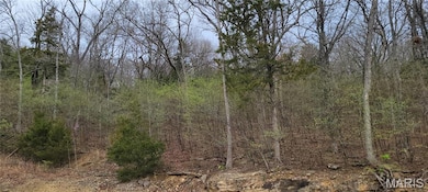 600 N High Post Rd, Augusta, MO 63332 - photo 3