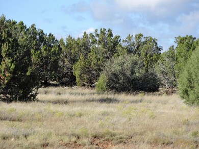 8575 Powells Ln, Show Low, AZ 85901 - photo 6