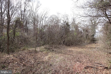 Lots 2-15 Penguin Place, Bryans Road, MD 20616 - photo 6