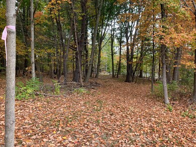 Wooded area south most part
