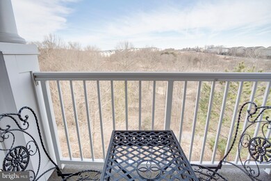 5004 Hollington Dr unit 303, Owings Mills, MD 21117 - photo 6