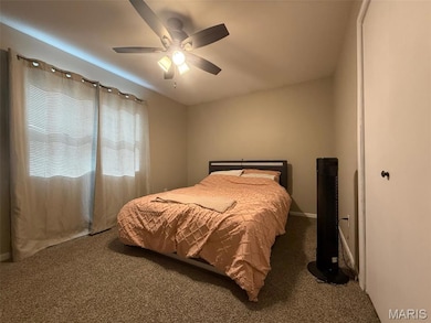 1320 W Saint Clair St, Vandalia, IL 62471 - photo 5