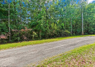Lot 26 Little Place, Monterey, TN 38574 - photo 4