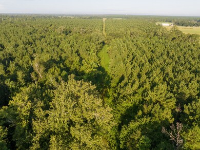 2 Edgerly Rd, Dequincy, LA 70633 - photo 6