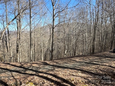 00 Beech Thicket Springs Rd unit 41, Bakersville, NC 28705 - photo 2