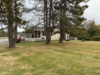 yard is cottage to trees