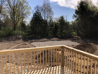 3625 Urban Depot Ct, Wayland, MI 49348 - photo 7