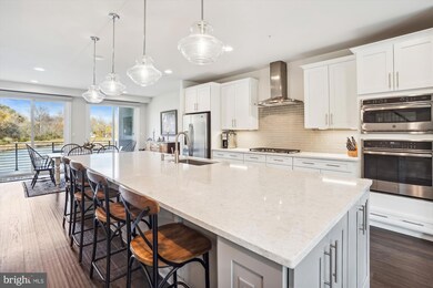 1809 Yellow Garnet Terrace SE, Leesburg, VA 20175 - photo 3