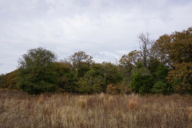 01 Cr 1316, Malakoff, TX 75148 - photo 7