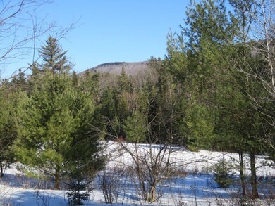 0 Nh Route 118 unit 4896849, Canaan, NH 03741 - photo 2
