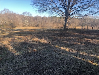 00 Highway 184, Iva, SC 29655 - photo 4