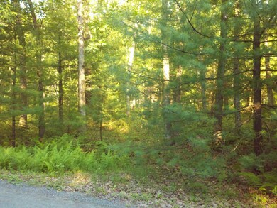 1253 Pennsylvania 590, Lackawaxen, PA 18435 - photo 3