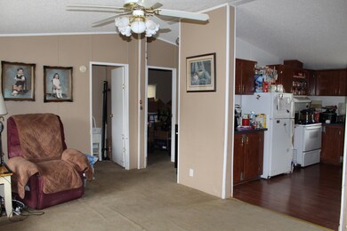 29 Nickelton Ln, Kimberling City, MO 65686 - photo 6