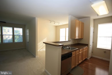 22691 Blue Elder Terrace unit 204, Ashburn, VA 20148 - photo 7