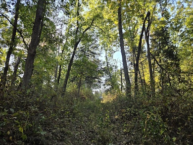 150th Street, Floris, IA 52560 - photo 4