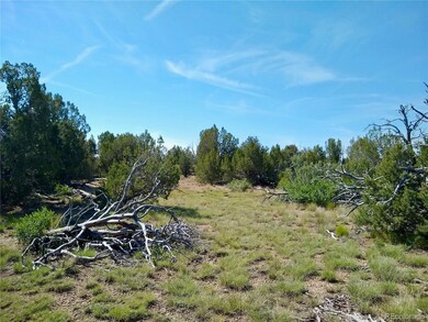 0 Carlson Rd unit REC5387533, Walsenburg, CO 81089 - photo 4