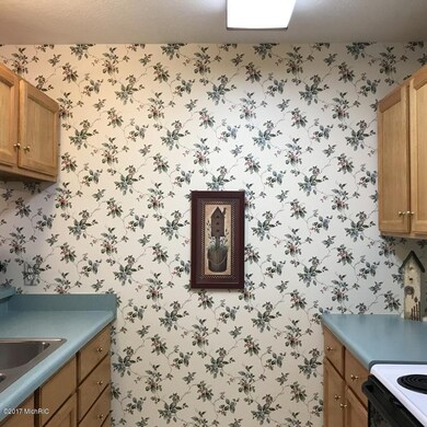 301 Boyer Ct, Marshall, MI 49068 - photo 3