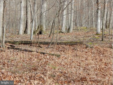 0 Circling Hawk Ln unit 1000168039, Berkeley Springs, WV 25411 - photo 3