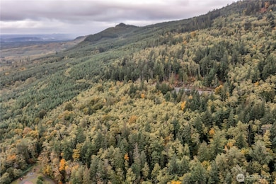 358 xx SE 311th St, Lake Morton-Berrydale, WA 98051 - photo 2