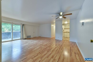 1215 Wertland St unit A13, Charlottesville, VA 22903 - photo 4