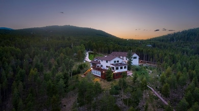 8641 S Warhawk Rd, Conifer, CO 80433 - photo 3