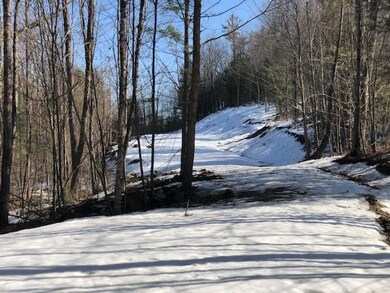 L21 Ski Lift Ln, Plymouth, NH 03264 - photo 5
