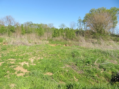 990 Craig Crossing Rd, Winchester, KY 40391 - photo 4