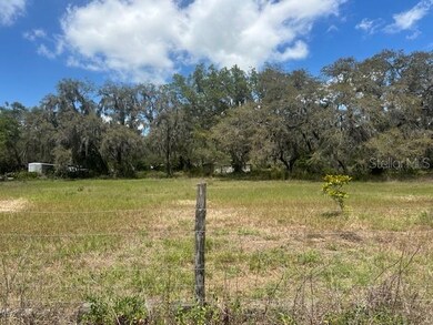 29707 Cooper Rd, Wesley Chapel, FL 33545 - photo 5