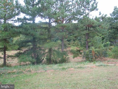 1776 Comertown Rd, Shenandoah, VA 22849 - photo 2