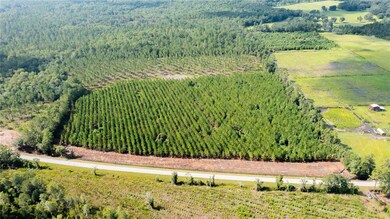 0 SE Family Rd unit Lot 2 GC500225, Lake City, FL 32025 - photo 6