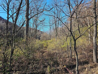 xxxx Braeburn Rd, Wilson Township, MN 55987 - photo 4