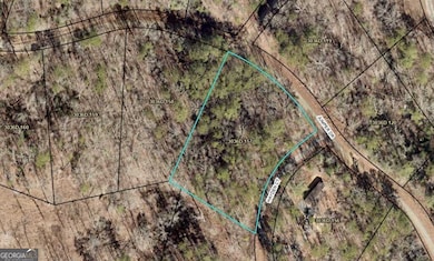 16 Hayden Ct, Ellijay, GA 30540 - photo 2