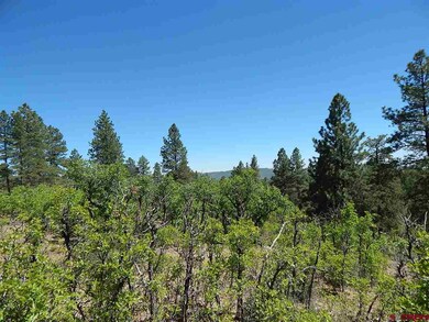 0 Tristan Trail unit 746328, Durango, CO 81301 - photo 5