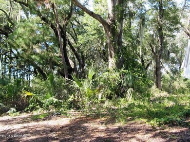 866 N Reeve Rd, Saint Helena Island, SC 29920 - photo 2