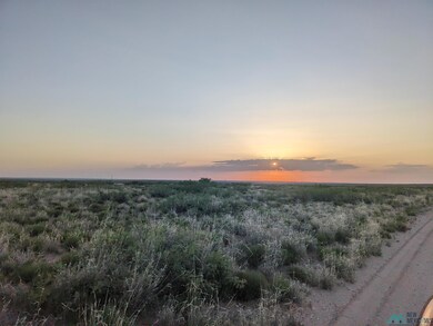 0 Llauds Rd, Roswell, NM 88201 - photo 3