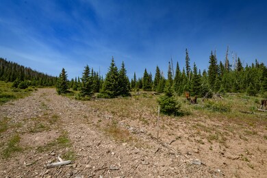 0 Lot 29 Aspen Mdws Se Neighbor unit 112451, Brian Head, UT 84719 - photo 4