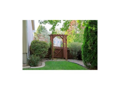 BACK YARD TRELLIS