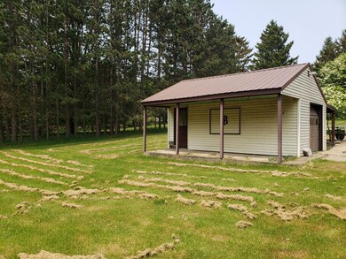 356 Homer St, Hubbardston, MI 48845 - photo 4