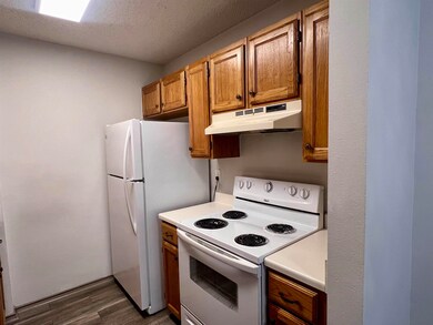 104 Belaire Dr unit 102, Laredo, TX 78041 - photo 7