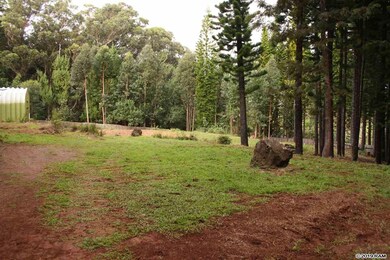 66 Kahakapao Rd unit A, Makawao, HI 96768 - photo 7