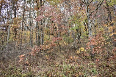 2000 Leatherman Gap Rd, Franklin, NC 28734 - photo 5