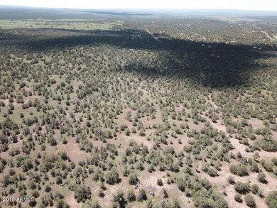 DJI_0056