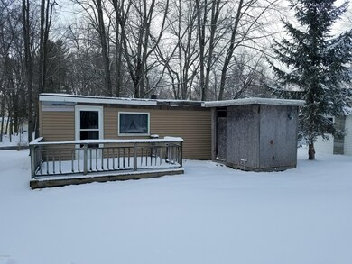 596 W Mohawk Trail, White Cloud, MI 49349 - photo 5