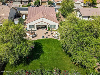Huge Yard